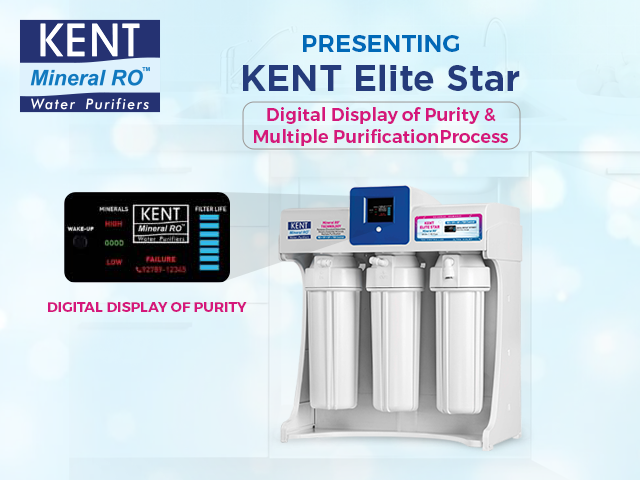 KENT Elite Star 